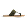 color:olive