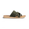 color:olive