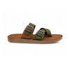 color:olive