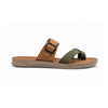 color:olive