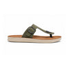 color:olive